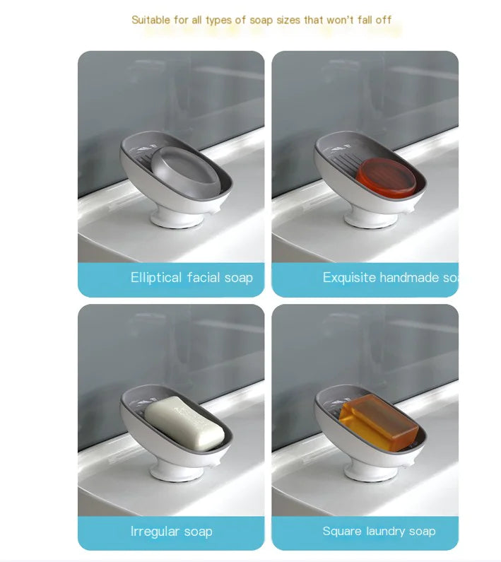Soap Dish